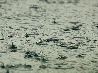 Regen hilft gegen Allergien - Milben werden mit einem Druck oberhalb 1500 Meter abgetötet - Der Rainbow Staubsauger kann das auch