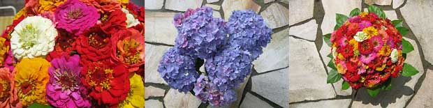 Pollen, Allergie oder Heuschnupfen geplagte Menschen