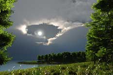 Pollen, Grässer Ursache für Allergie